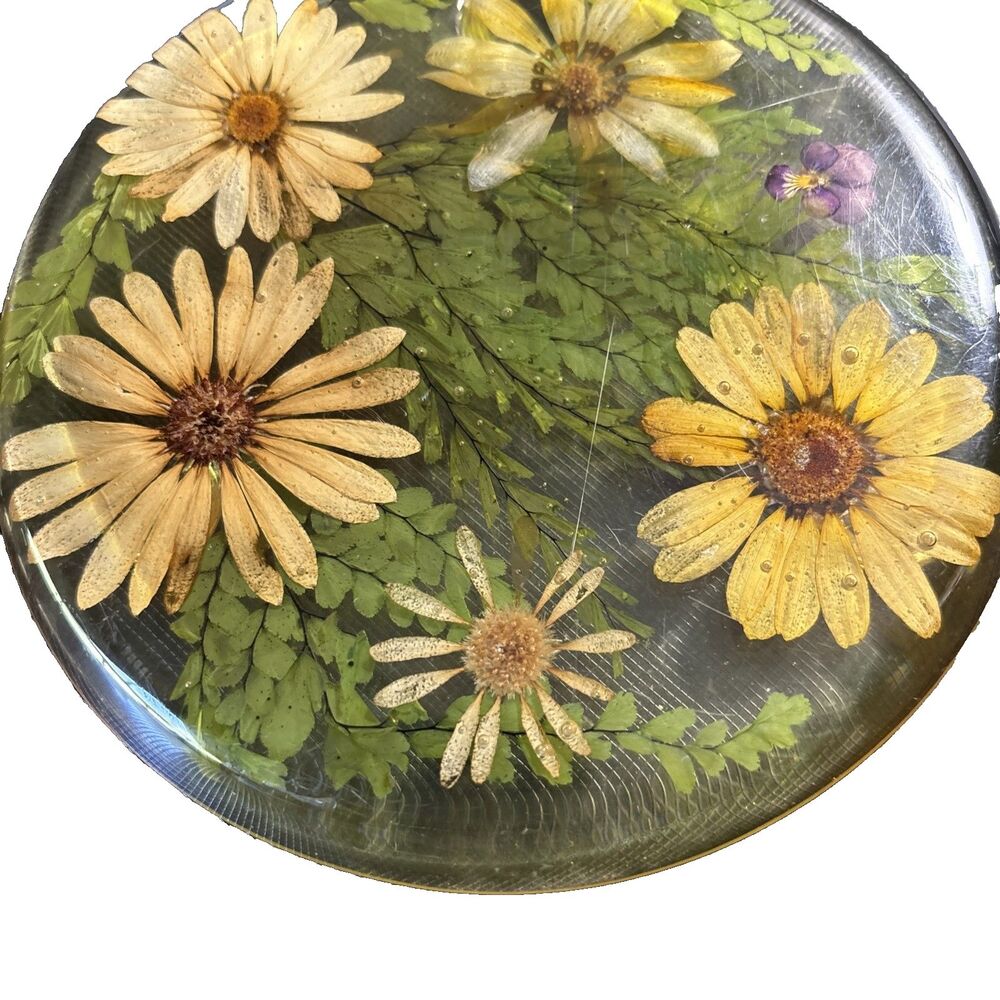Vintage 1970's Lucite or Resin 7" Trivet with Dried Yellow Daisies